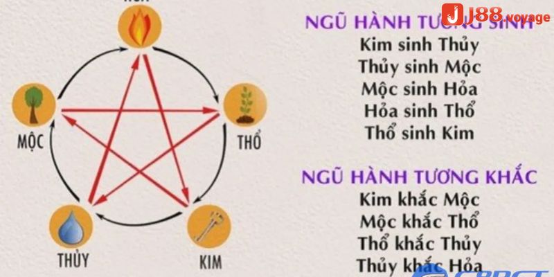 Chọn mạng gà theo ngũ hành