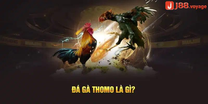 Đá gà trực tiếp thomo tại J88