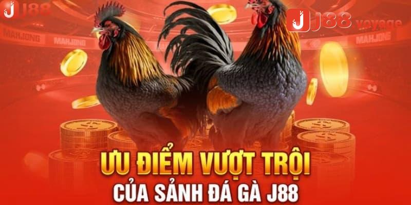 Ưu điểm của sảnh đá gà J88