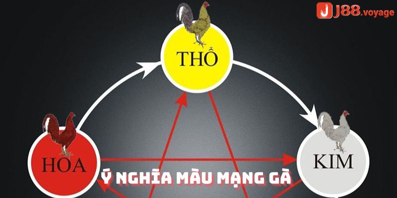 Ý nghĩa về màu mạng gà