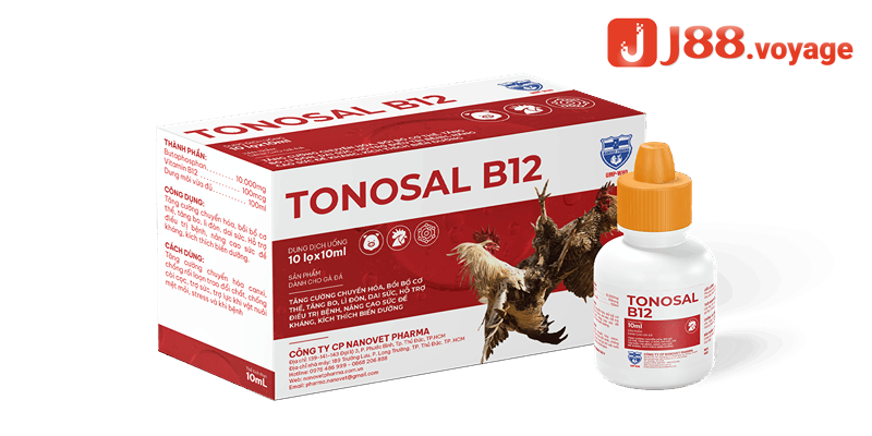 Chuyên gia J88 hướng dẫn cách bổ sung vitamin b1 b6 b12 cho gà đá hợp lý nhất