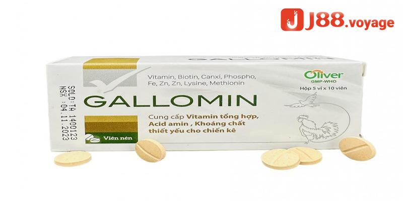 Hiệu quả của vitamin b1 b6 b12 cho gà đá